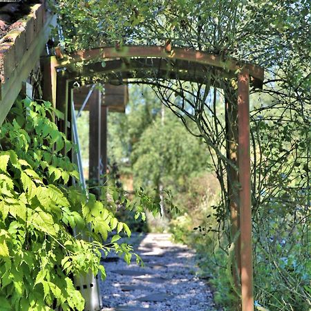 Norwegisches Blockhaus Bad Muenstereifel Exterior foto